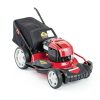 Electric Assist Choke Control for Honda GX240-5