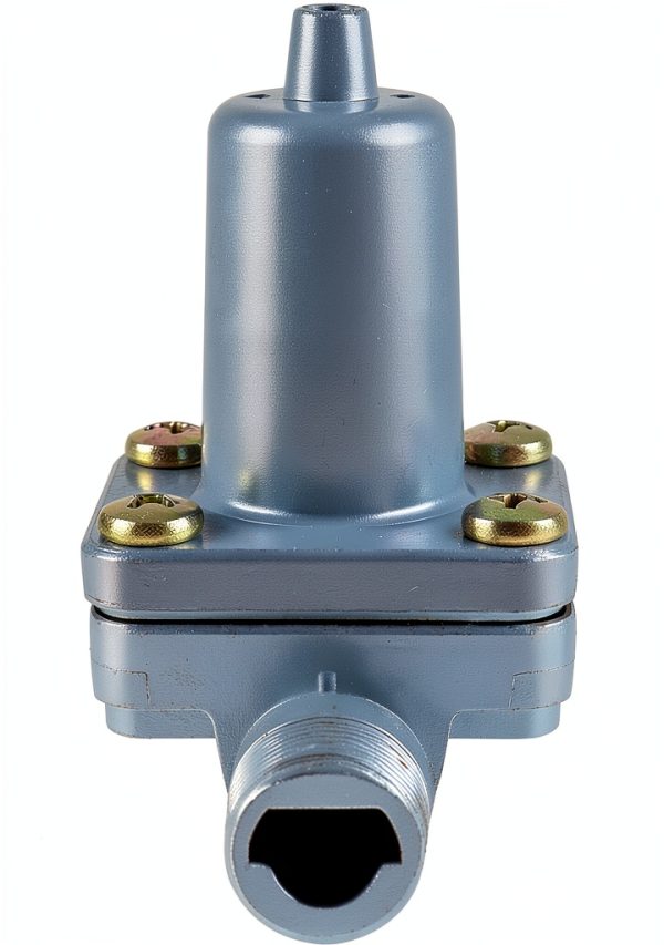 Pressure Protection Valve AUNVITO Automotive 065677 Black Compact-4