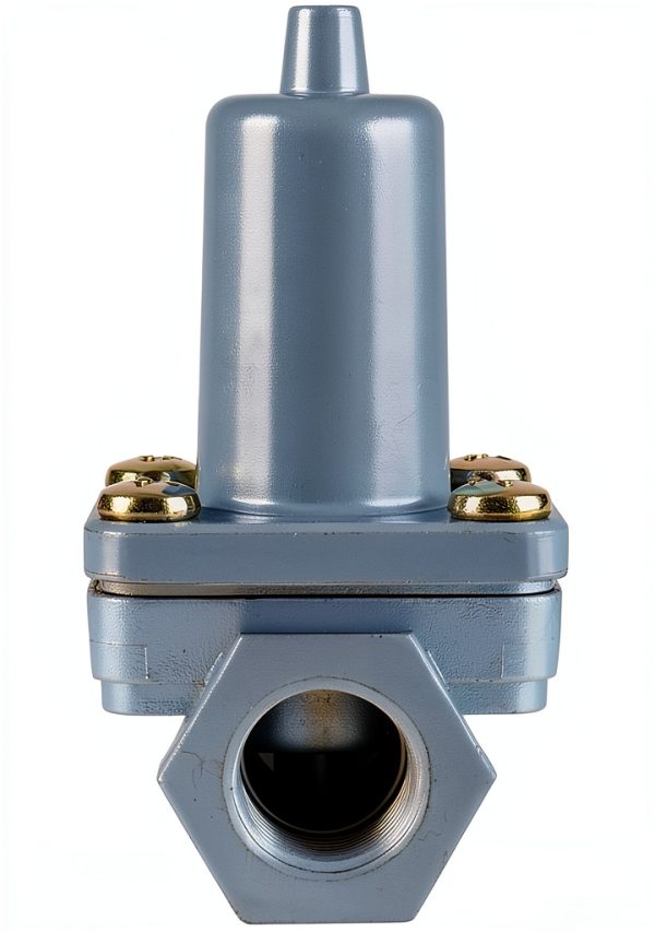 Pressure Protection Valve AUNVITO Automotive 065677 Black Compact-3