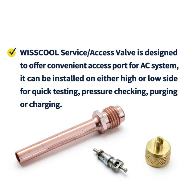 Wisscool 10-Piece Schrader Valve Kit 2.5 Inch Aluminum Brass Copper-5