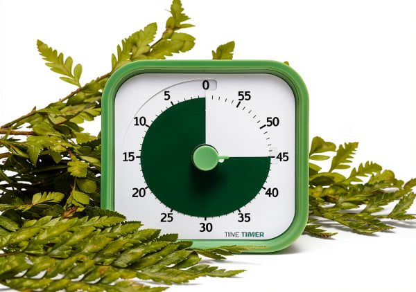 TIME TIMER Home MOD - 60 Minute Kids Visual Timer Home Edition - for Homeschool Supplies Study Tool, Timer for Kids Desk, Office Desk and Meetings with Silent Operation (Fern Green)-2
