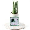 TIME TIMER Home MOD - 60 Minute Kids Visual Timer Home Edition - for Homeschool Supplies Study Tool, Timer for Kids Desk, Office Desk and Meetings with Silent Operation (Fern Green)-1